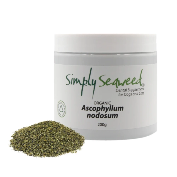 Simply Seaweed - Dental Supplement - Image 3