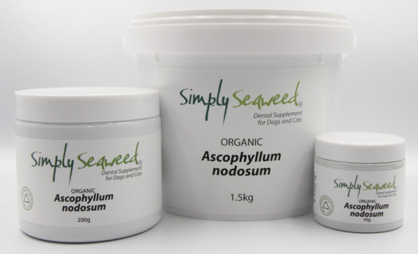 Simply Seaweed - Dental Supplement - Image 2