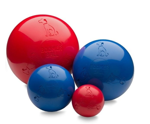 Company of Animals - Boomer Ball - Image 2