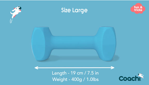 Company of Animals - Coachi - Training Dumbbell - Image 2