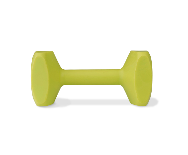 Company of Animals - Coachi - Training Dumbbell - Image 3