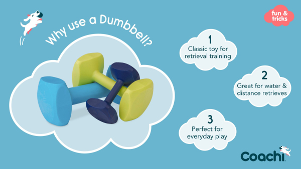 Company of Animals - Coachi - Training Dumbbell - Image 7