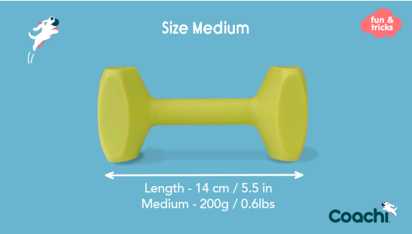Company of Animals - Coachi - Training Dumbbell - Image 4