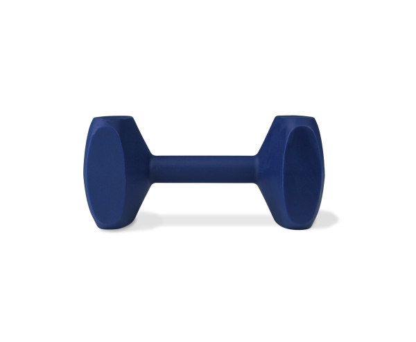 Company of Animals - Coachi - Training Dumbbell - Image 5