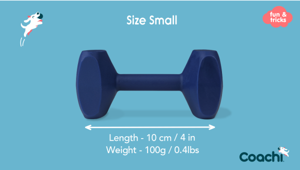 Company of Animals - Coachi - Training Dumbbell - Image 6