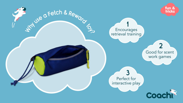 Company of Animals - Coachi - Fetch & Reward - Image 4