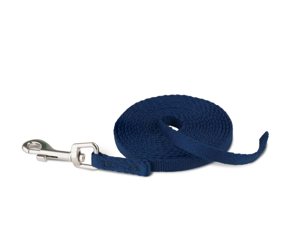Company of Animals - Coachi - Training Line - Image 4
