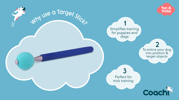 Company of Animals - Coachi - Target Stick - Image 4