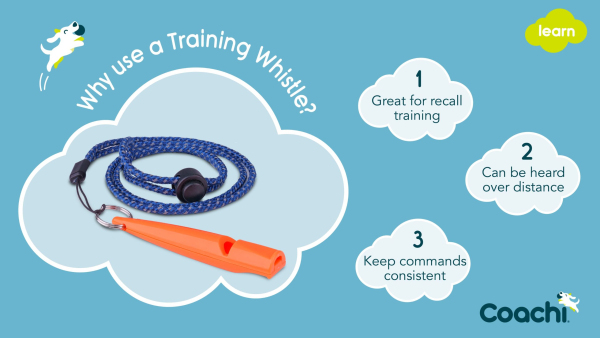 Company of Animals - Coachi - Training Whistle - Image 3