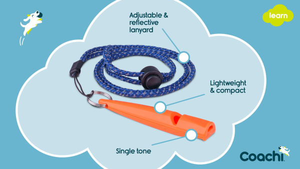 Company of Animals - Coachi - Training Whistle - Image 4