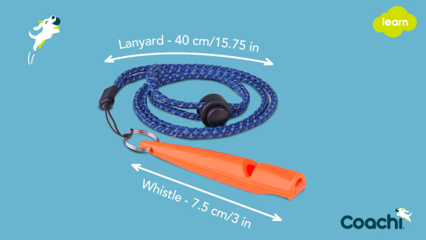 Company of Animals - Coachi - Training Whistle - Image 5