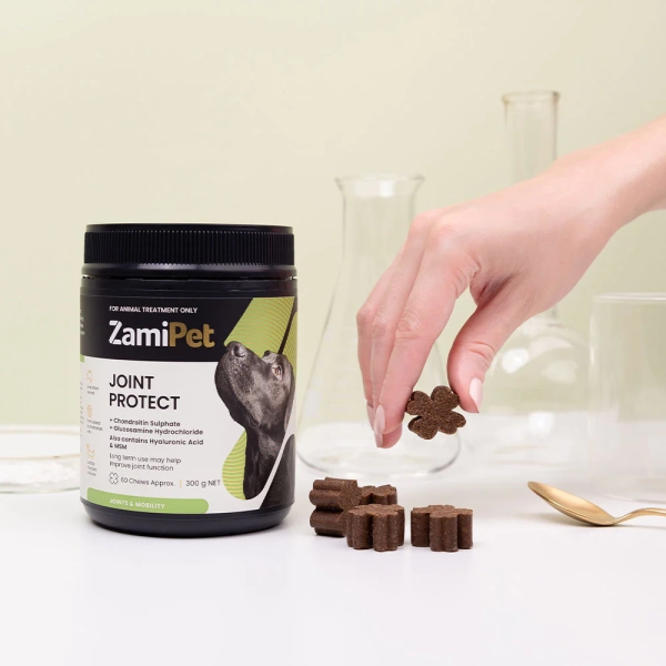 ZamiPet - Joint Protect - Image 4