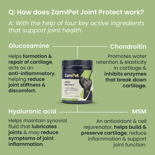 ZamiPet - Joint Protect - Image 6