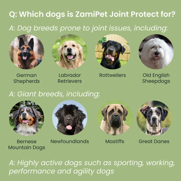 ZamiPet - Joint Protect - Image 7