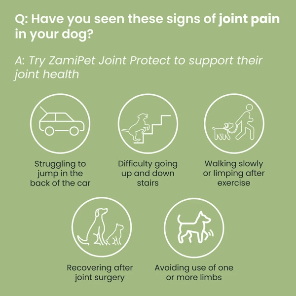 ZamiPet - Joint Protect - Image 8