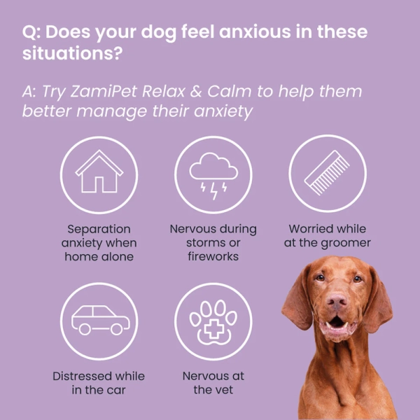 ZamiPet - Relax & Calm - Image 8