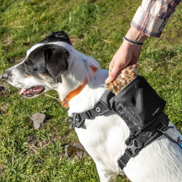 Kurgo - Stash n' Dash Harness - Image 5