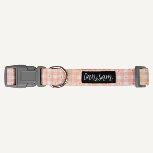 Dan & Sam - Dog Collar - Daisy Picnic