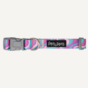 Dan & Sam - Dog Collar - Disco Party