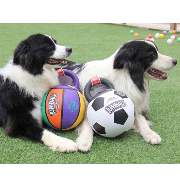 GiGwi - Jumball - Soccer Ball - Image 5