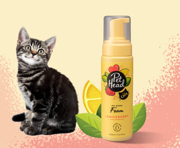 Pet Head - Felin' Good - Image 7