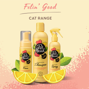 Pet Head - Felin' Good