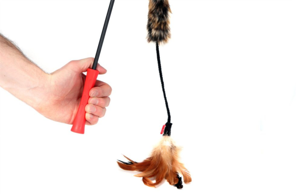 GiGwi - Feather Teaser - Natural - Image 3