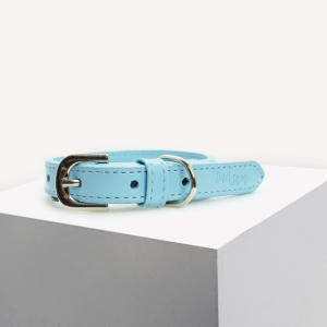 Dan & Sam - Dog Collar - Blue Vegan Leather