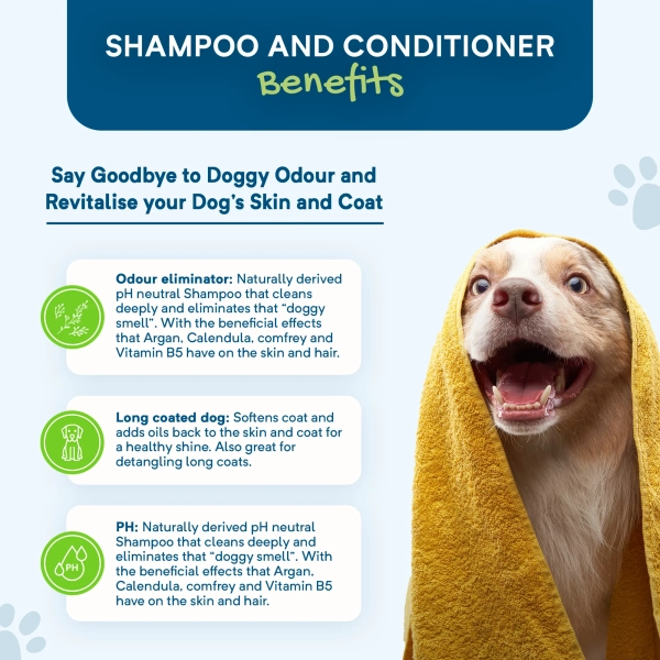 Stay Loyal - Calming Shampoo - Image 4