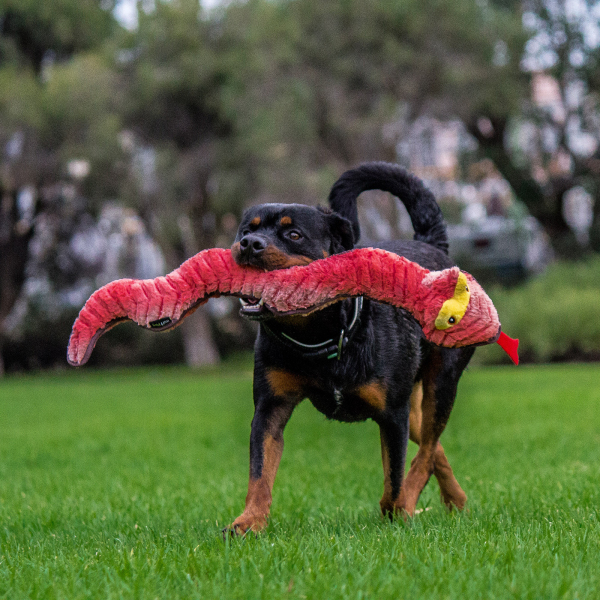RUFF Play - Plush Buddies - Tuff Snake - Image 2