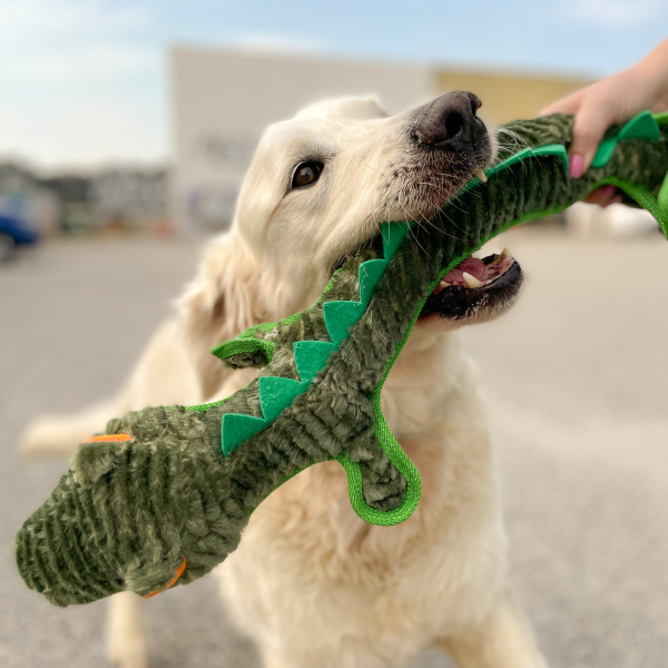 RUFF Play - Plush Buddies - Tuff Crocodile - Image 2
