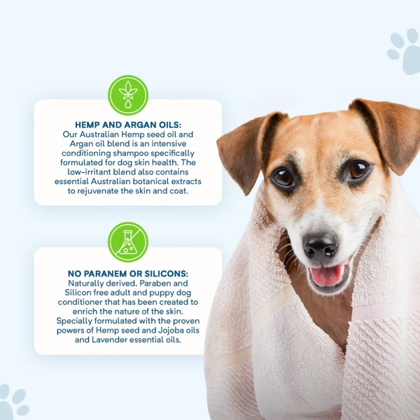 Stay Loyal - Calming Shampoo - Image 3