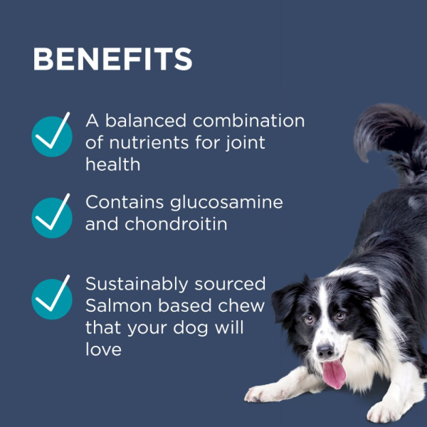 Blackmores: Paw - OsteoCare Joint Protect - Image 3