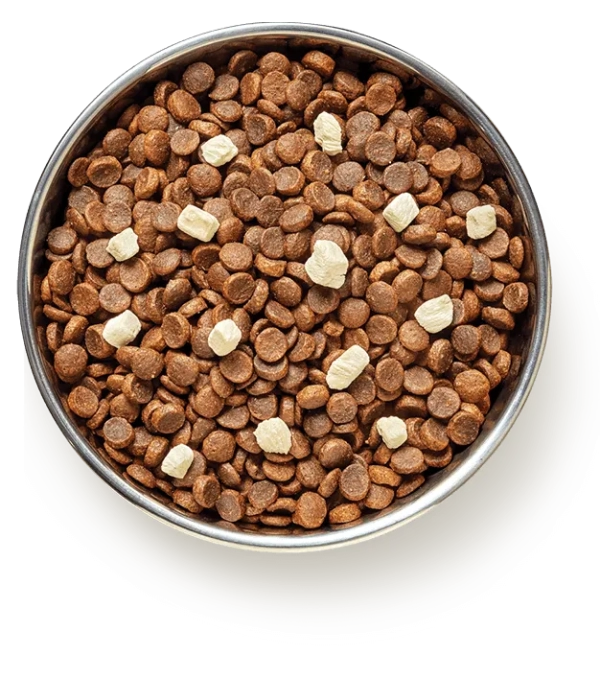 Pure Life - Puppy - GRAIN FREE - Australian Chicken - Image 5