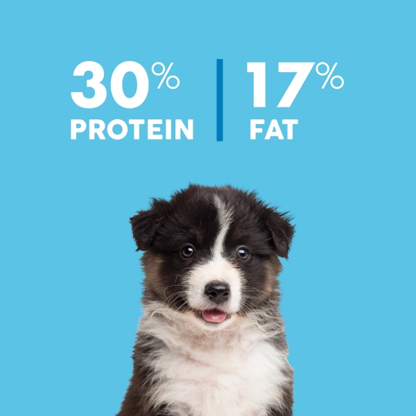 True Colours - Puppy - Australian Chicken + Brown Rice - Image 4