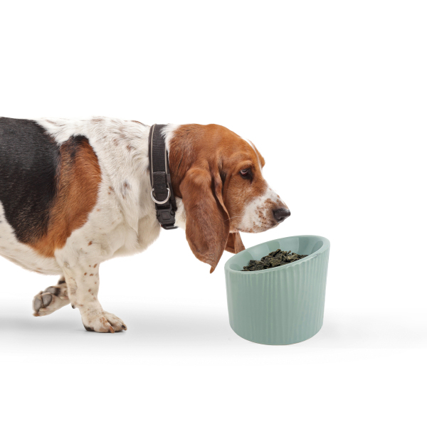 Barkley & Bella - Raised Bowl - Eucalyptus - Image 3