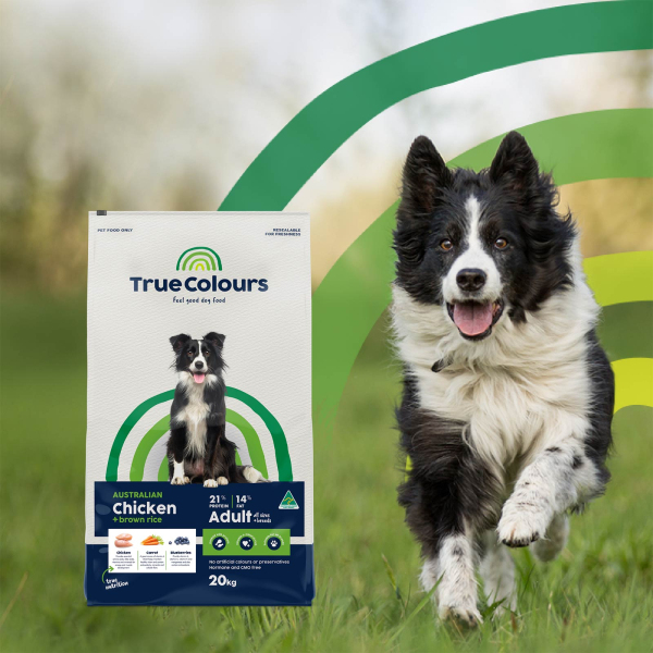 True Colours - Adult Dog - Australian Chicken + Brown Rice - Image 4
