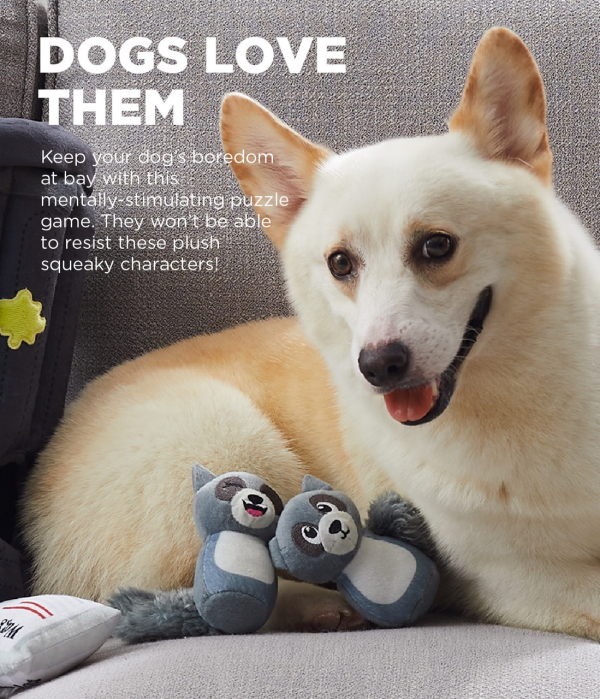 Outward Hound - Hide-A-Raccoon - Image 5