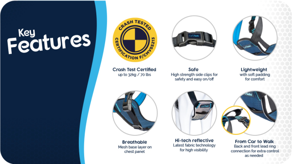 CarSafe - Crash Tested Harness - Blue - Image 5