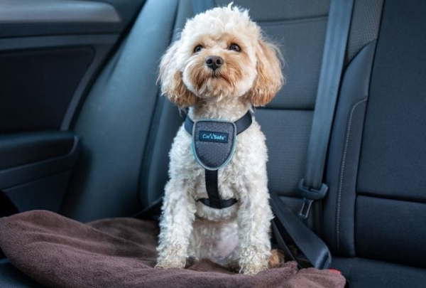 CarSafe - Travel Harness - Black - Image 4