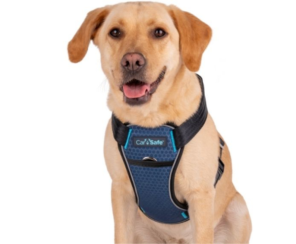 CarSafe - Crash Tested Harness - Blue - Image 4