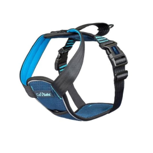 CarSafe - Crash Tested Harness - Blue