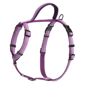 Company of Animals - Halti - Walking Harness - Purple