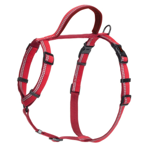 Company of Animals - Halti - Walking Harness - Red