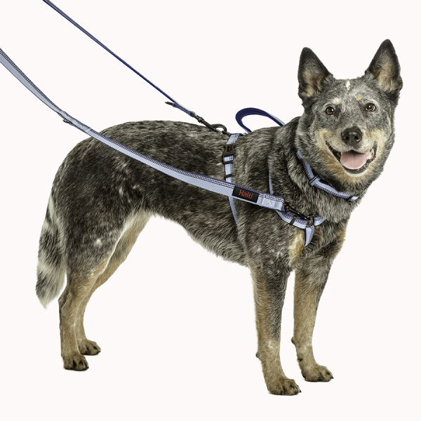 Company of Animals - Halti - Double Ended Lead - Red - Image 2