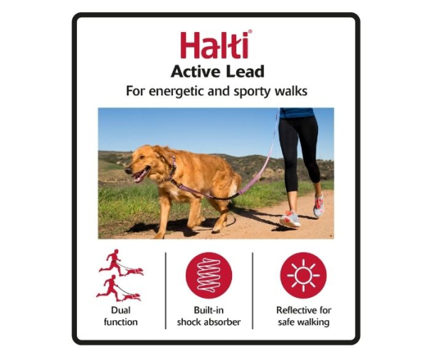 Company of Animals - Halti - Active Lead - Image 6