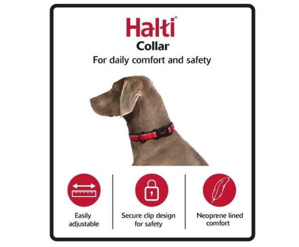 Company of Animals - Halti - Comfort Collar - Red - Image 3