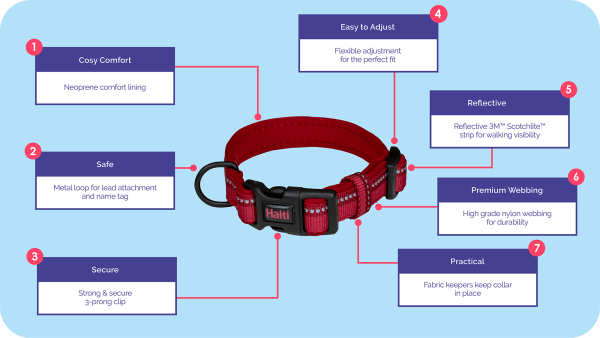 Company of Animals - Halti - Comfort Collar - Red - Image 4