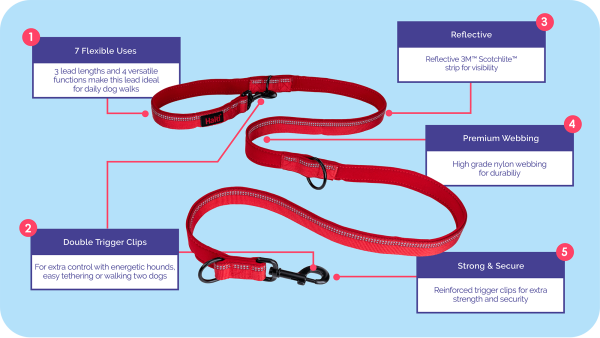 Company of Animals - Halti - Double Ended Lead - Red - Image 4