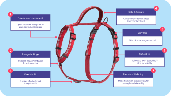 Company of Animals - Halti - Walking Harness - Red - Image 3